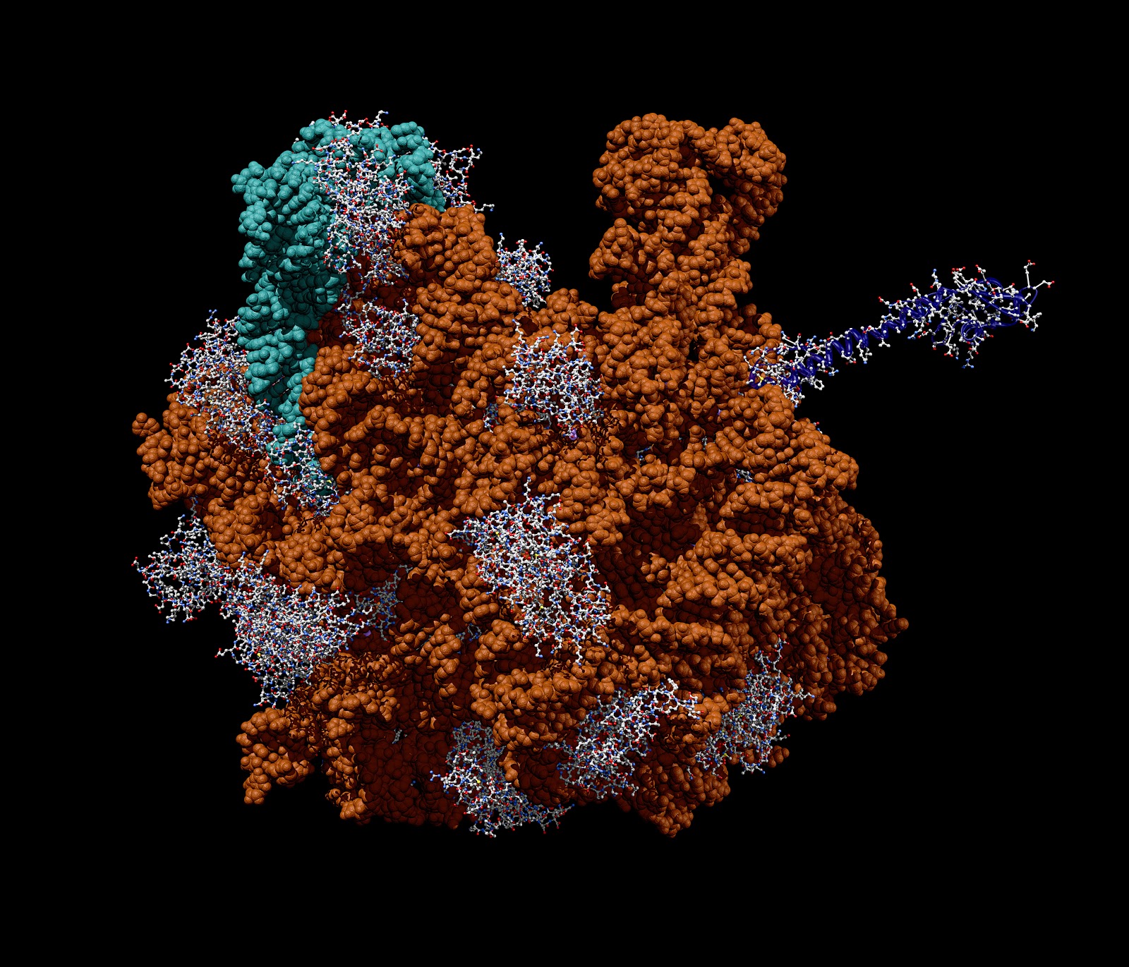 A 3D model of a protein